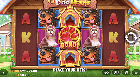 The Dog House
