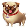 Мопс